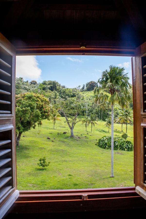 Jardin Malanga Hotel Basse-Terre Exterior photo