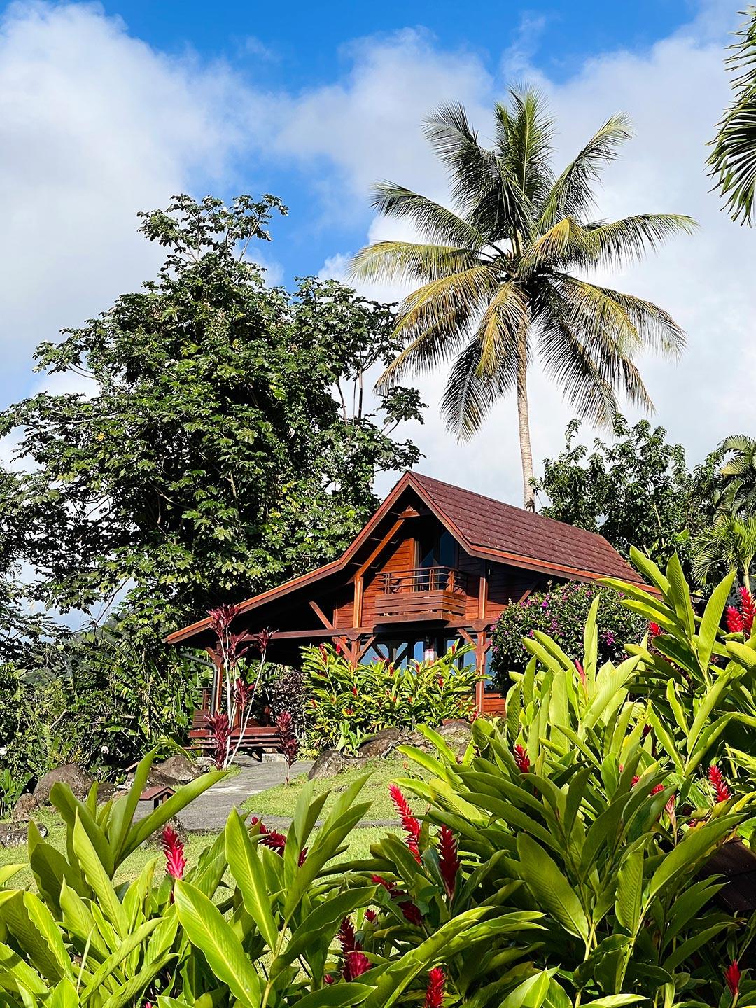 Jardin Malanga Hotel Basse-Terre Exterior photo