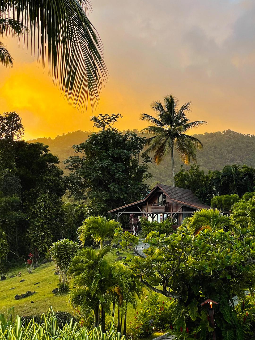 Jardin Malanga Hotel Basse-Terre Exterior photo