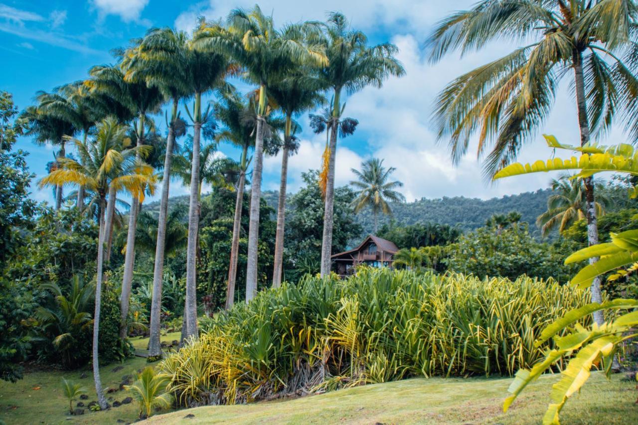 Jardin Malanga Hotel Basse-Terre Exterior photo